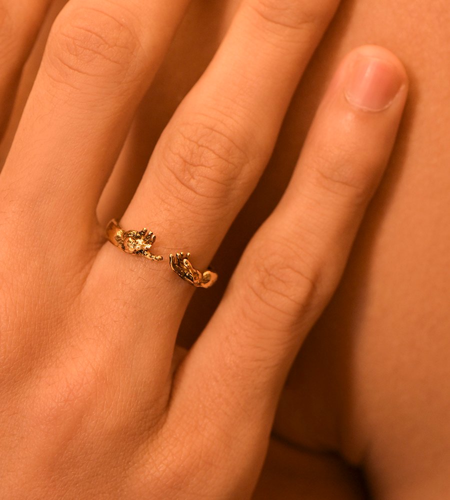 Adam Ring
